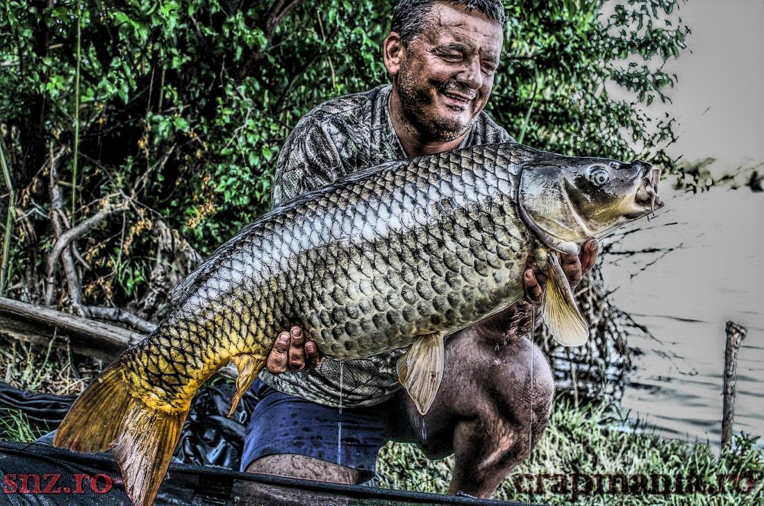 Crapmania (3) - 2013 - img1889hdrmode2.JPG